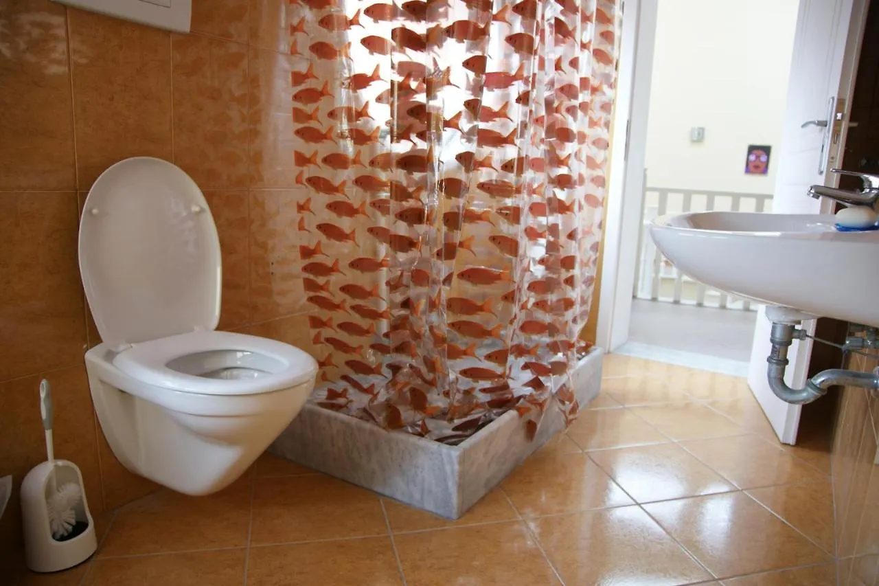 The Golden Rooster Hostel Tirana Albania