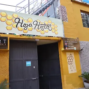 Auberge de jeunesse Hoja, Tirana